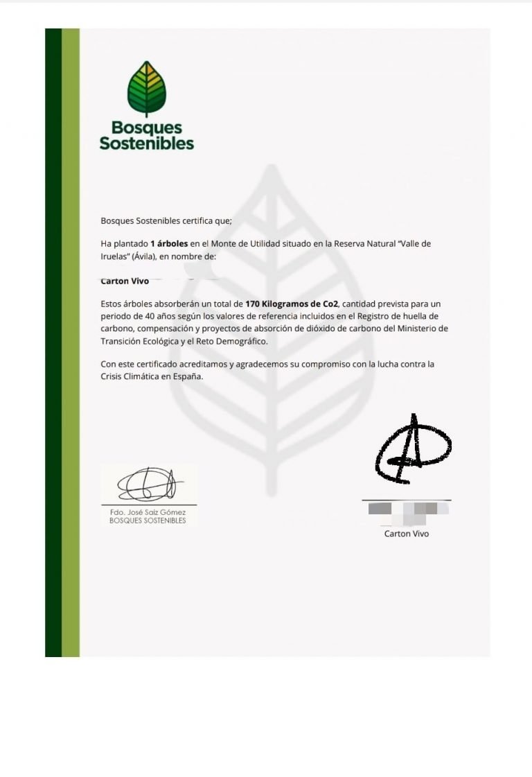 Bosques Sostenibles 1 768x1121